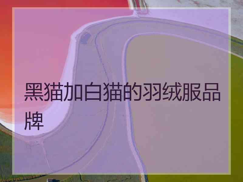 黑猫加白猫的羽绒服品牌