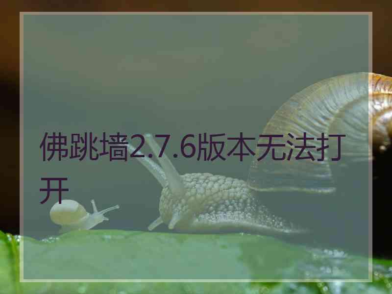 佛跳墙2.7.6版本无法打开