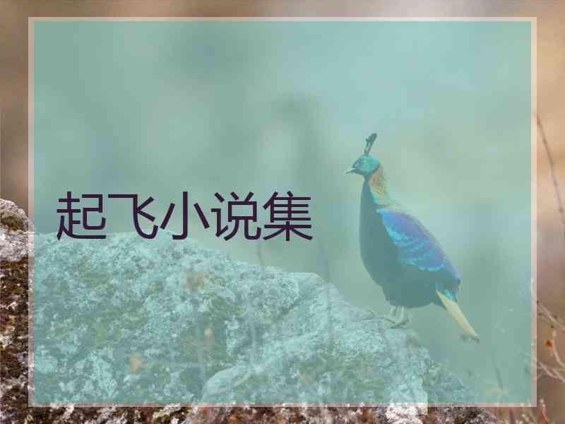 起飞小说集