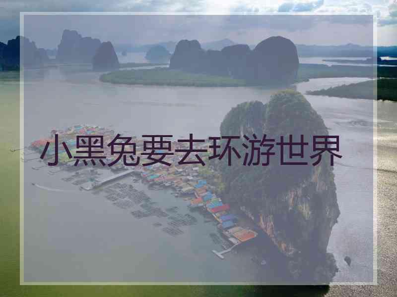 小黑兔要去环游世界