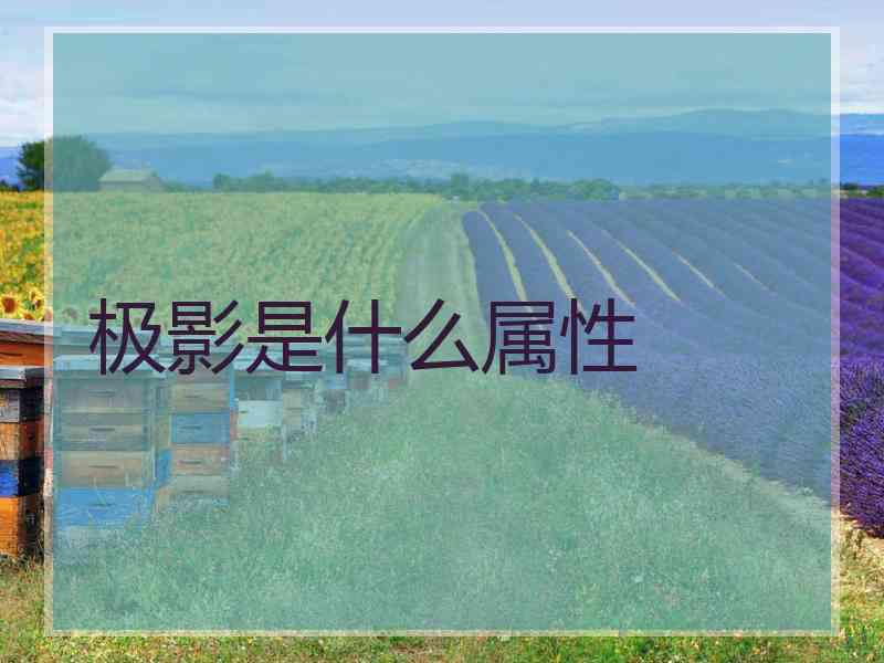 极影是什么属性