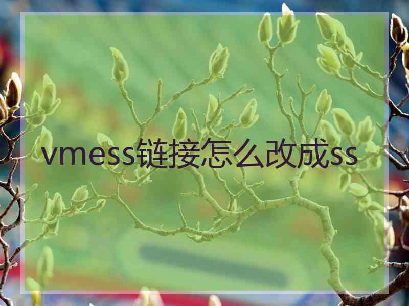 vmess链接怎么改成ss