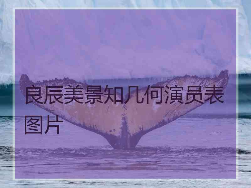 良辰美景知几何演员表图片
