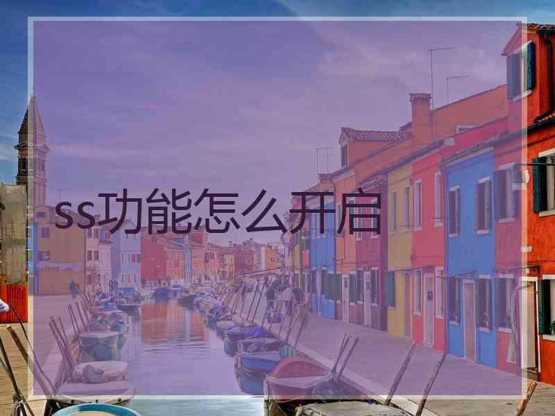 ss功能怎么开启