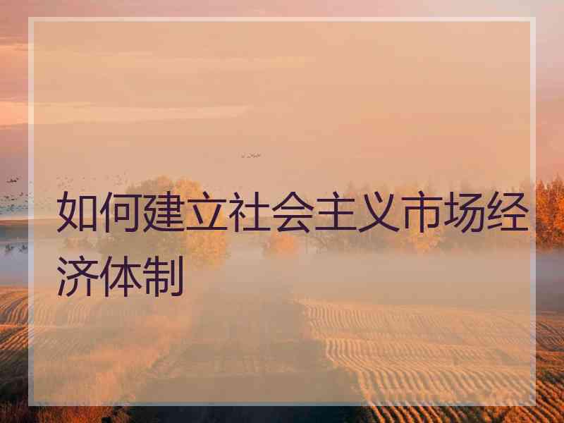 如何建立社会主义市场经济体制