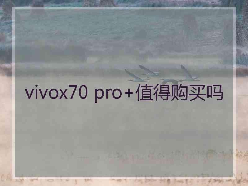 vivox70 pro+值得购买吗
