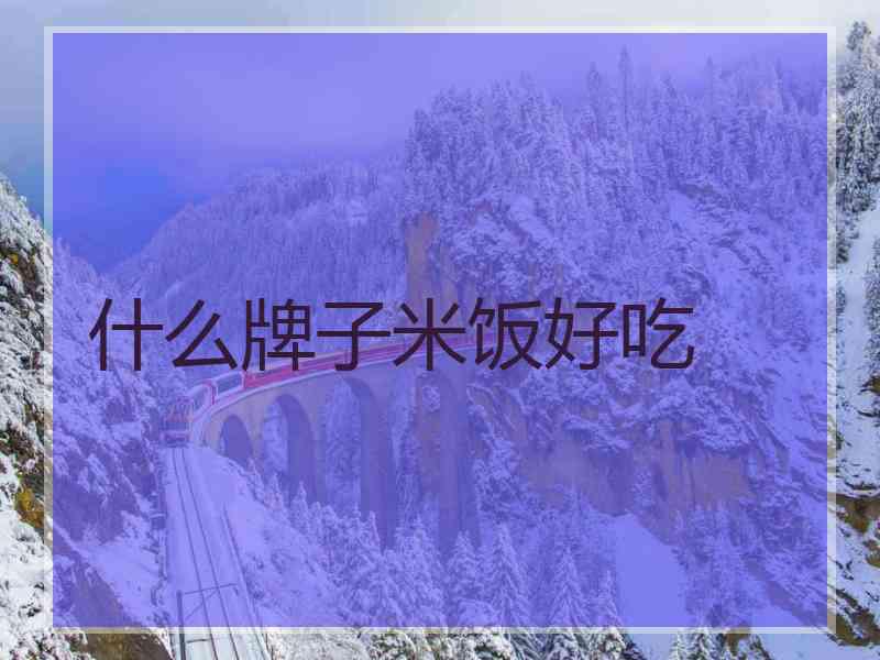 什么牌子米饭好吃