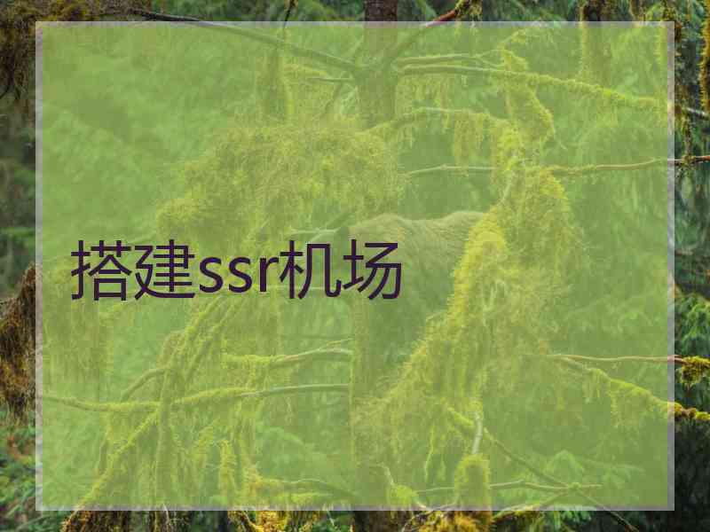 搭建ssr机场