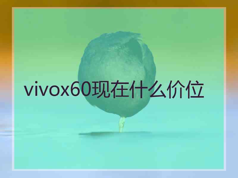 vivox60现在什么价位