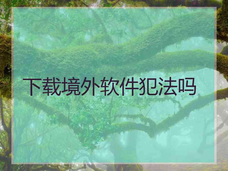 下载境外软件犯法吗