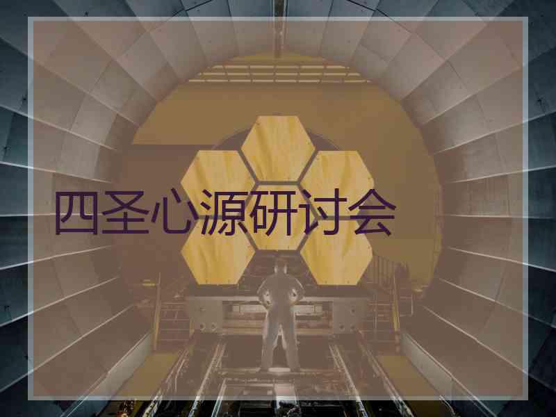 四圣心源研讨会