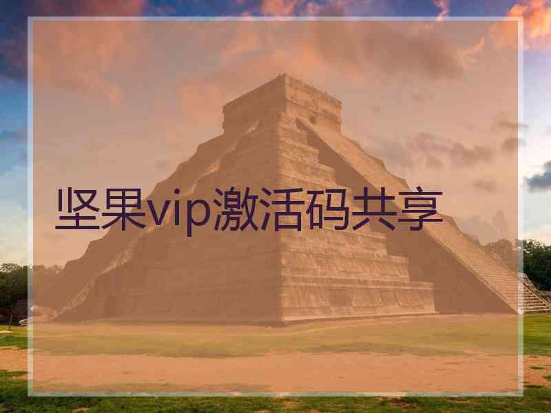 坚果vip激活码共享