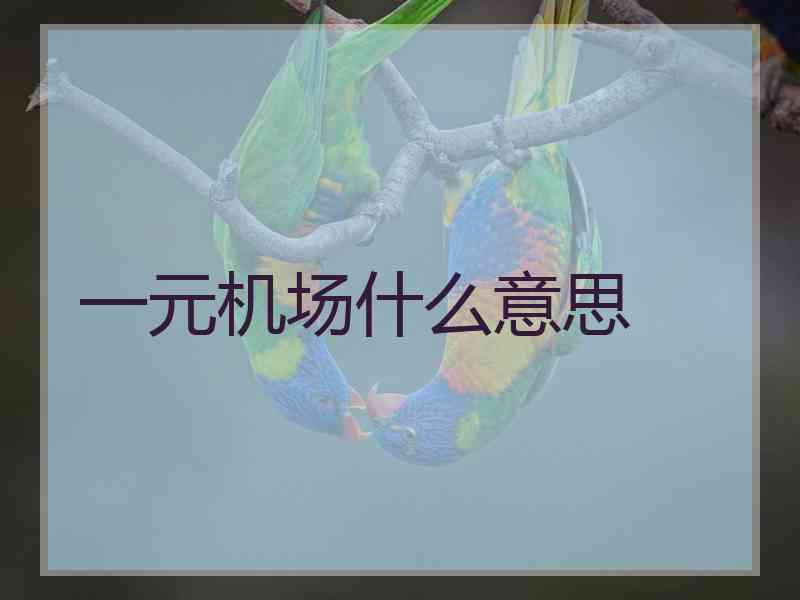 一元机场什么意思