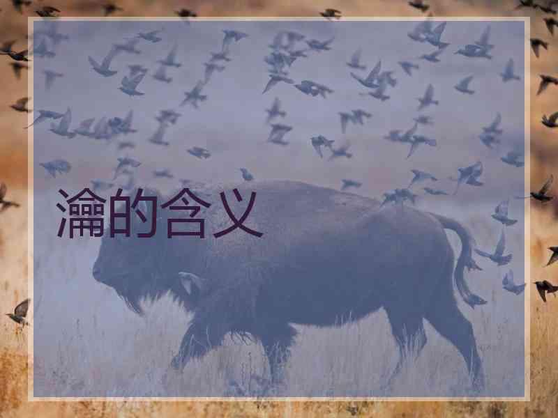 瀹的含义