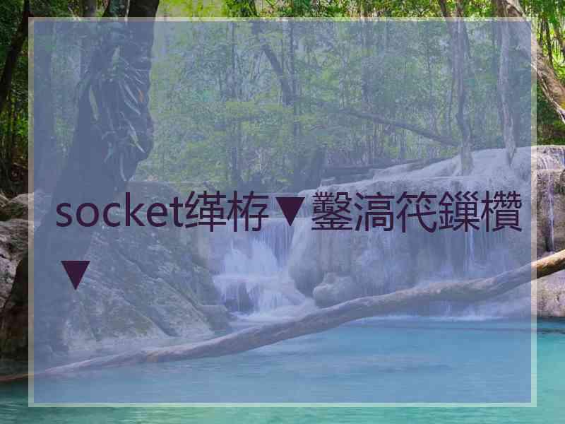 socket缂栫▼鑿滈笩鏁欑▼