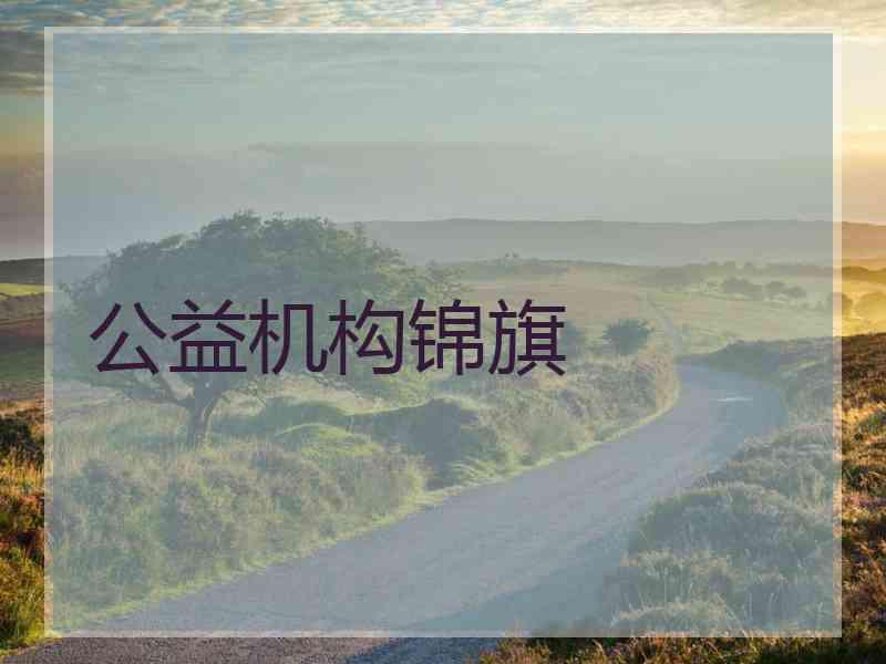 公益机构锦旗