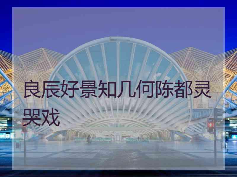 良辰好景知几何陈都灵哭戏