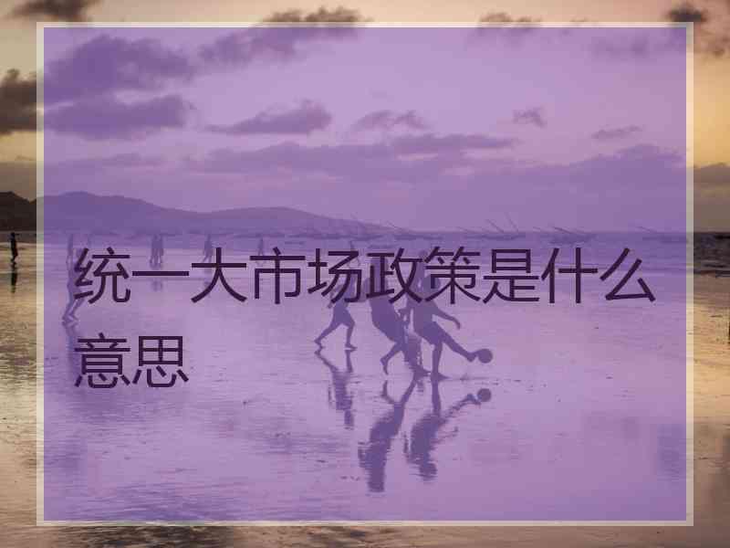 统一大市场政策是什么意思