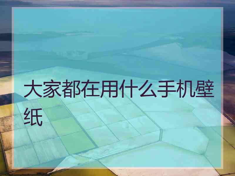 大家都在用什么手机壁纸