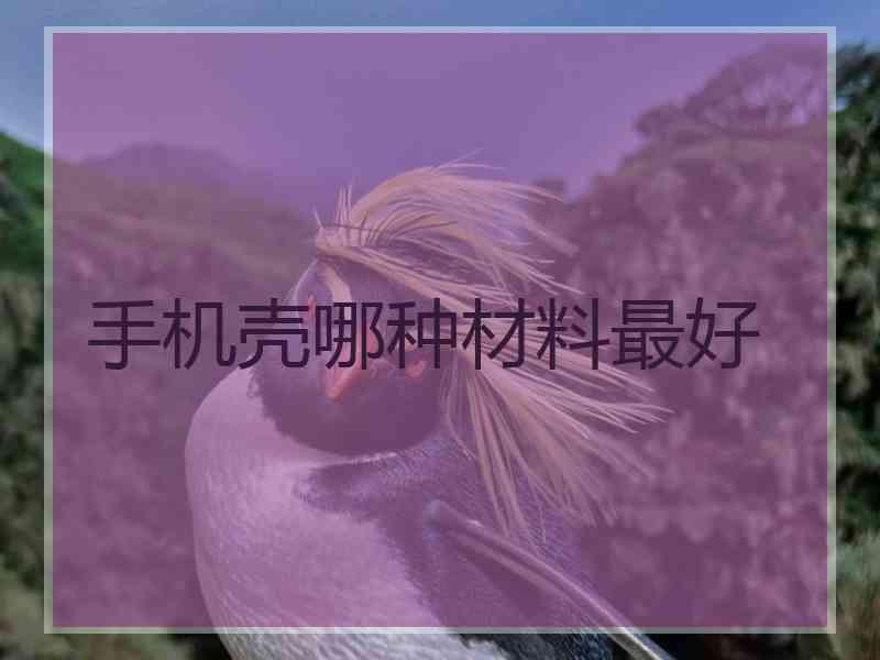 手机壳哪种材料最好