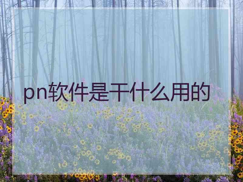 pn软件是干什么用的