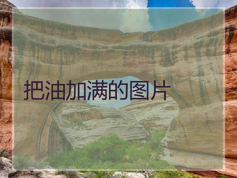把油加满的图片