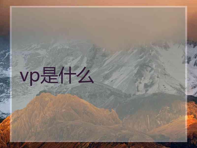 vp是什么