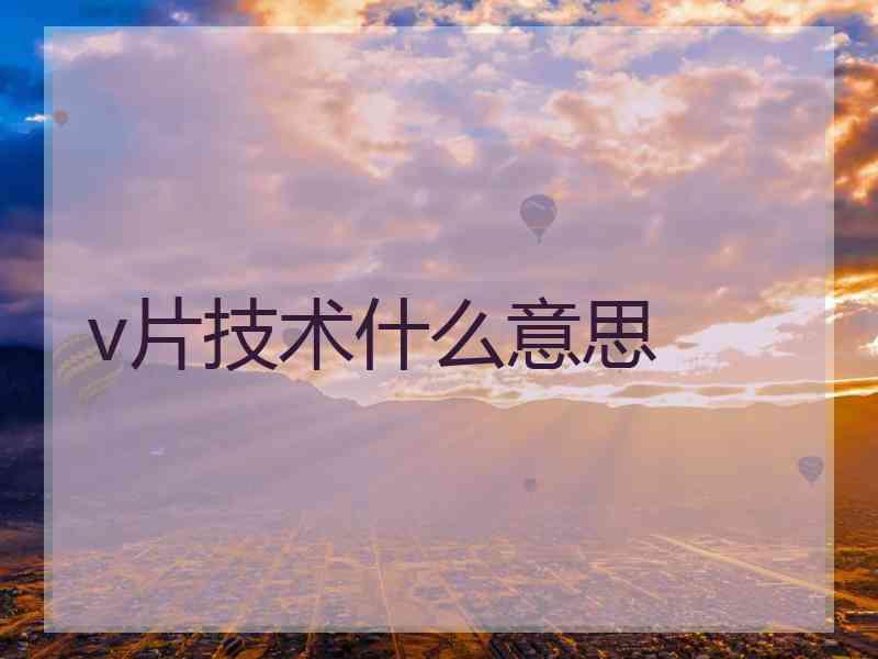 v片技术什么意思