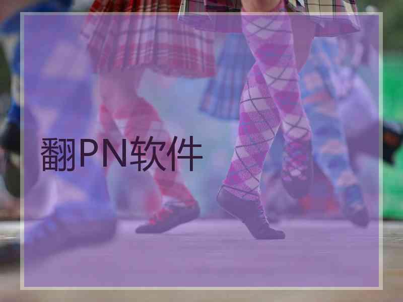 翻PN软件