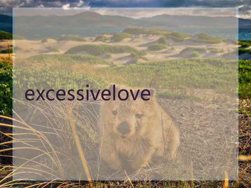 excessivelove