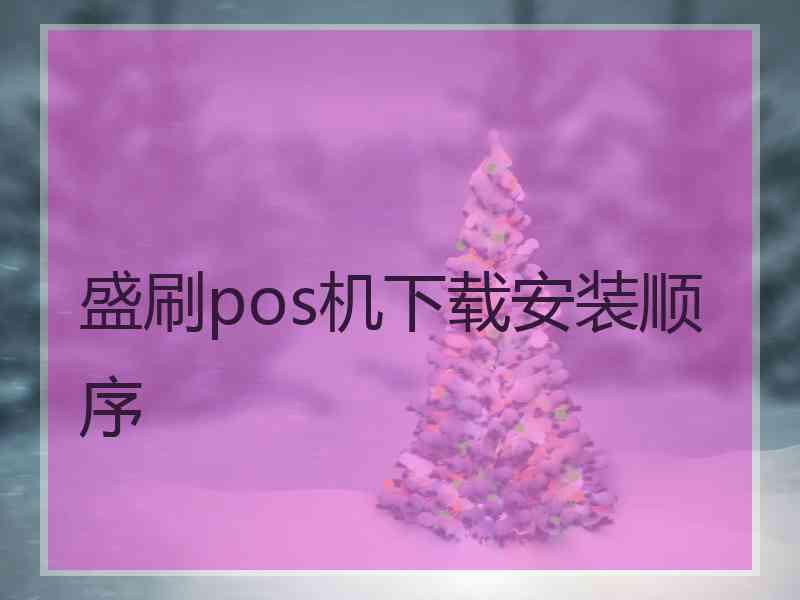 盛刷pos机下载安装顺序