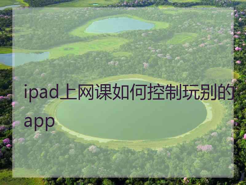 ipad上网课如何控制玩别的app
