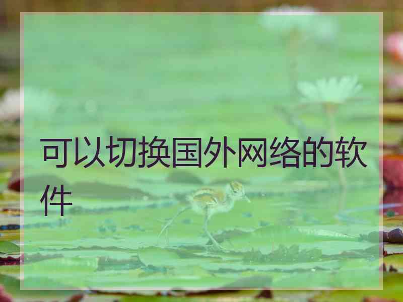 可以切换国外网络的软件
