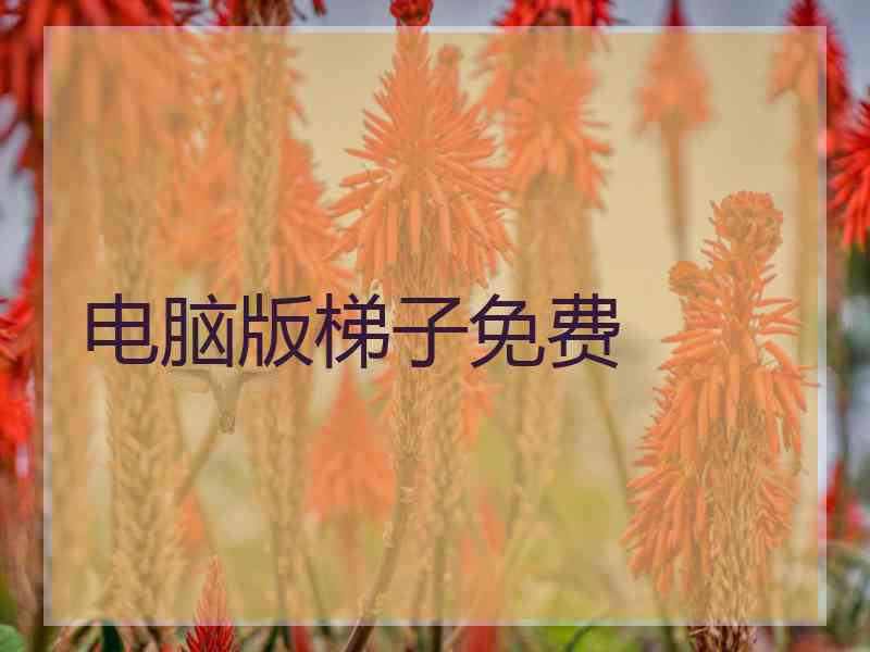 电脑版梯子免费