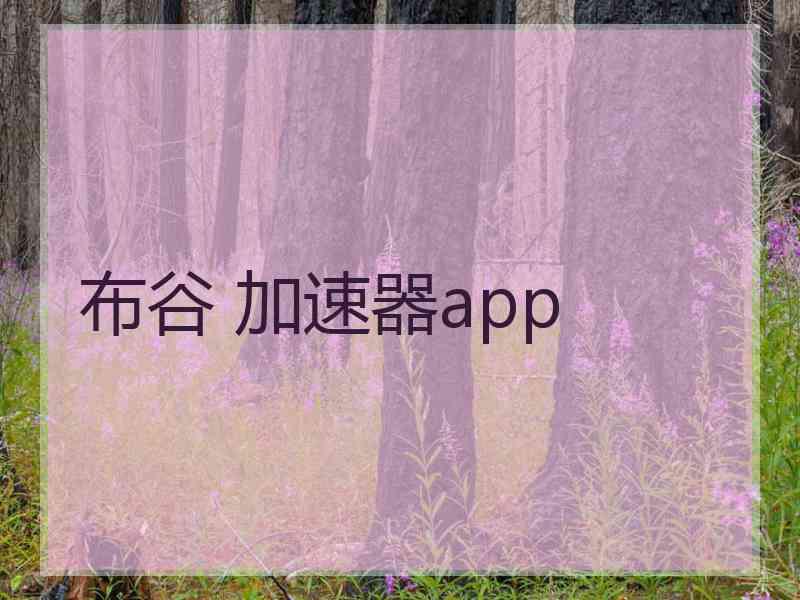 布谷 加速器app