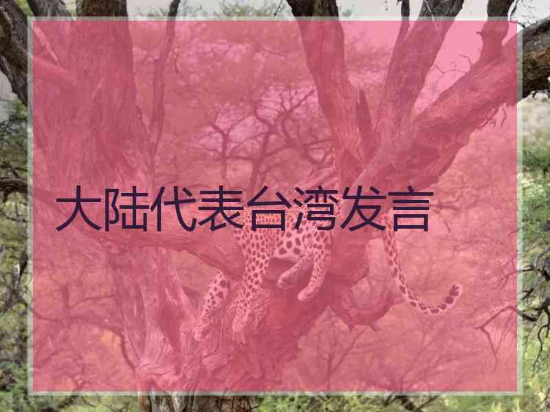 大陆代表台湾发言