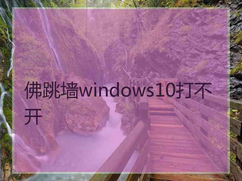 佛跳墙windows10打不开