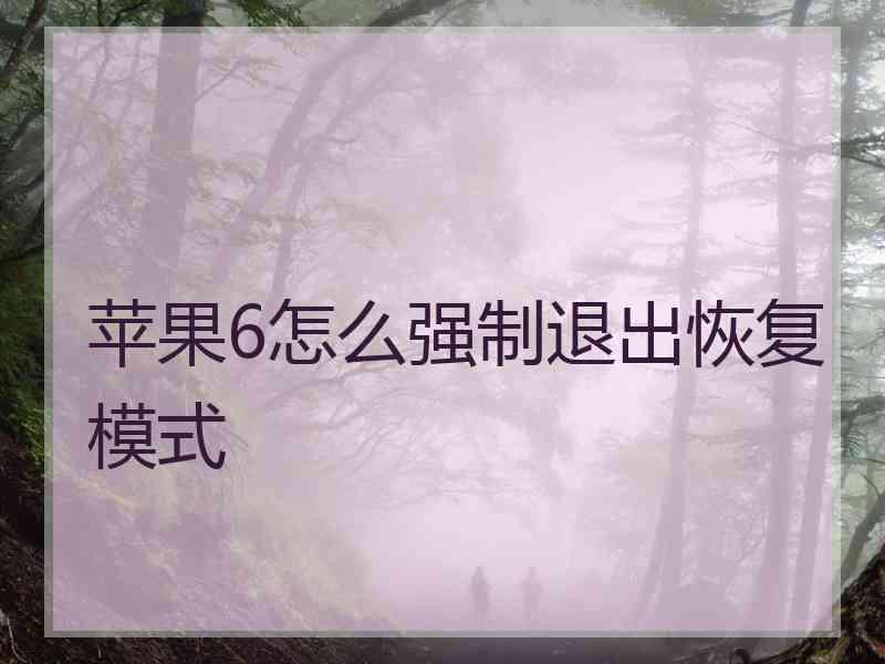 苹果6怎么强制退出恢复模式