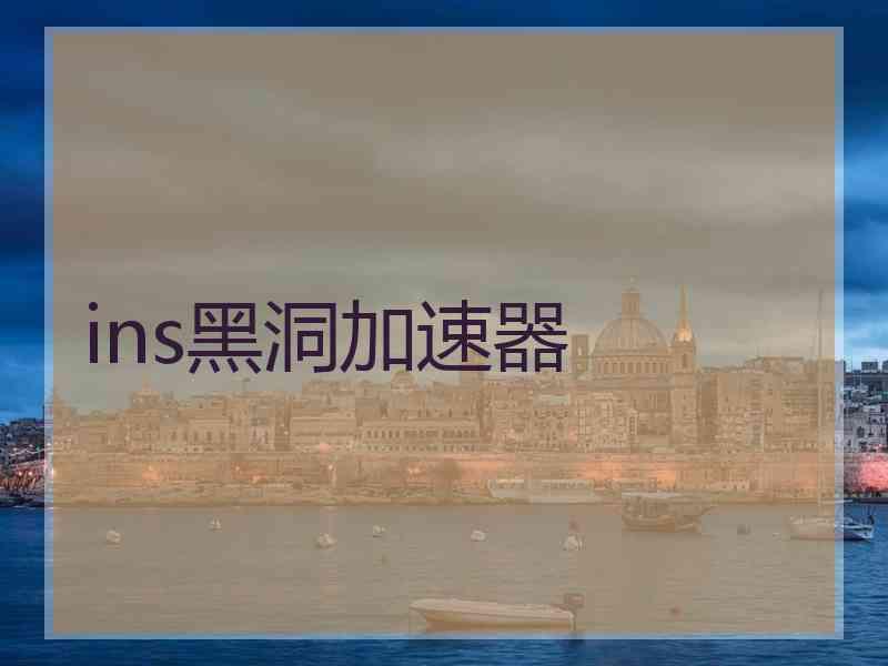 ins黑洞加速器