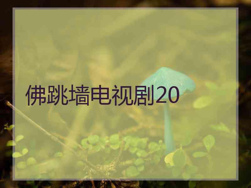 佛跳墙电视剧20
