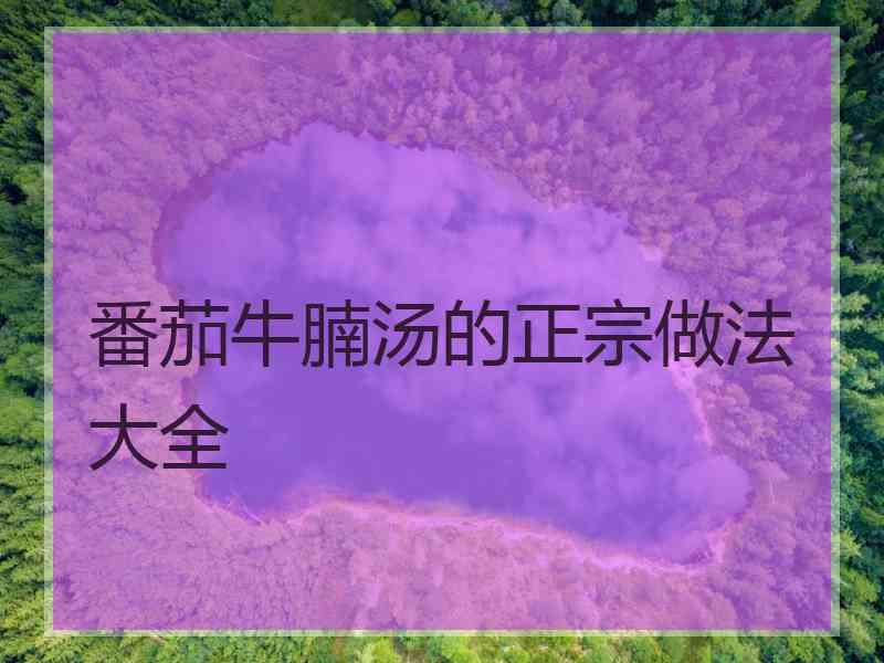 番茄牛腩汤的正宗做法大全