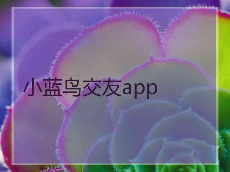 小蓝鸟交友app
