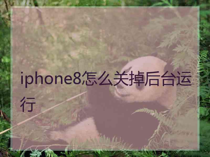 iphone8怎么关掉后台运行