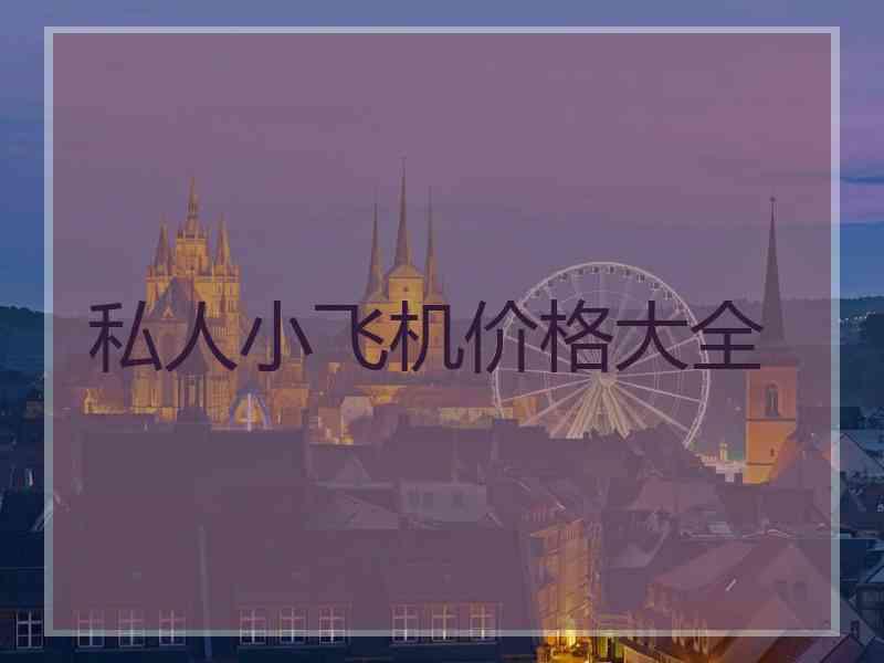 私人小飞机价格大全