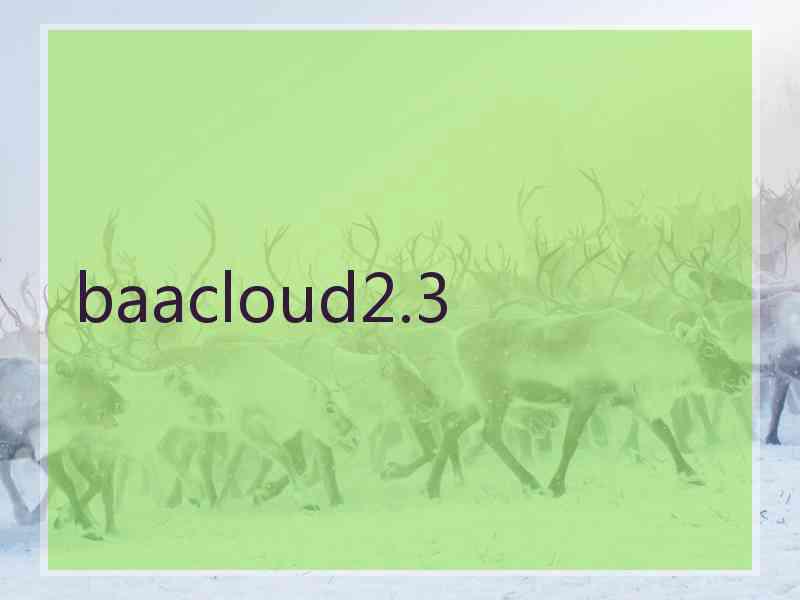 baacloud2.3