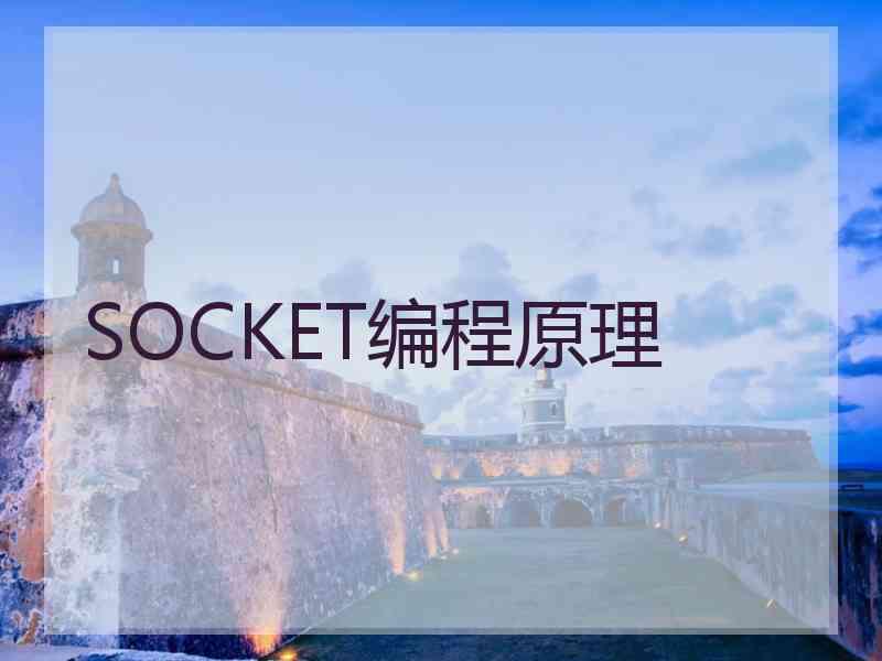 SOCKET编程原理