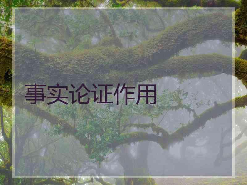 事实论证作用