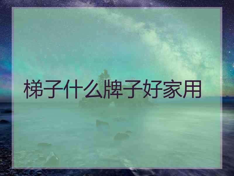 梯子什么牌子好家用