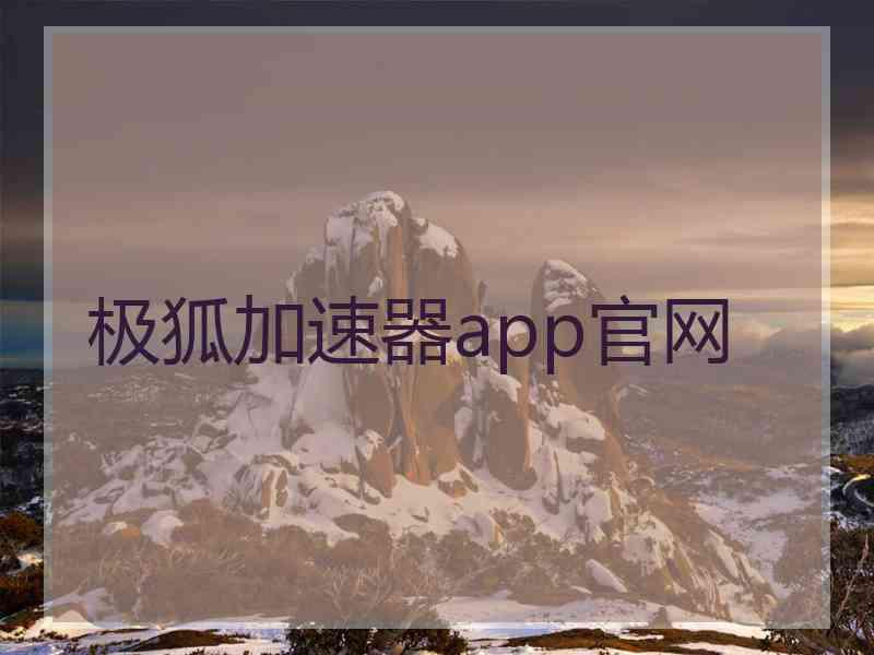 极狐加速器app官网