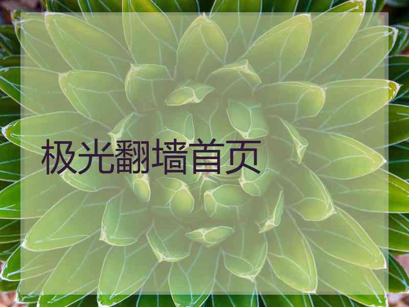 极光翻墙首页